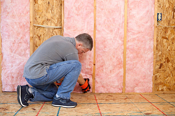 Best Residential Insulation in Cienega Springs, AZ